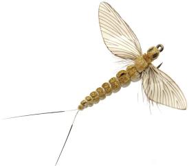 Json Mayfly Spent 3 Olive Grey #18