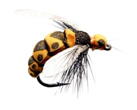 Json Wasp Black Yellow #12