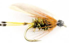 Leadwing Coachman Wet #14
