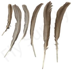 Natural Feather Mix Turkey Set - DEMO MODEL
