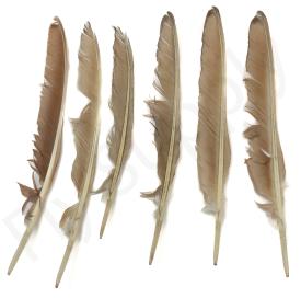 Natural Feather Mix Turkey Set - DEMO MODEL