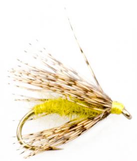 Euro Flies Partridge Spider Olive #14