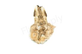 Premium Hares Mask #1