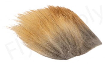 Red Fox Patch