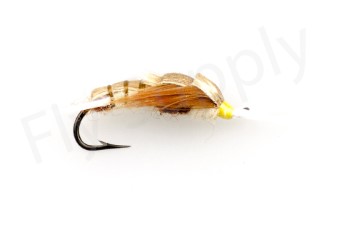 Euro Flies Stone Fly Nymph Light Heavy #10