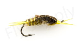 Euro Flies Stone Fly Olive #8