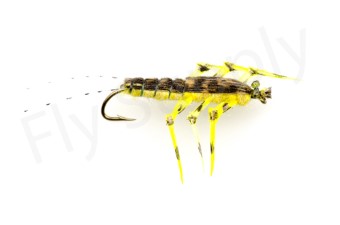 Euro Flies Teds Golden Stone #10