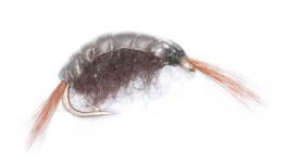 Euro Flies Scud Dark Brown #14
