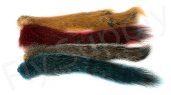 Squirrel Tail