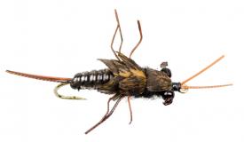 Euro Flies Stella Stone Fly Black #8