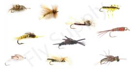 Stone Fly Set Premium 10pc