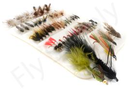 Supreme France & Belgium Fly Set Complete - 50pc