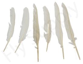 Swan Feather Set 6pc Natural - DEMO MODEL