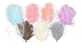 Swiss CDC Standard Feathers - CLOSEOUT