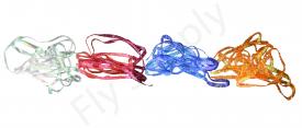 Sybai Pearl Braidback 2,5mm Wide
