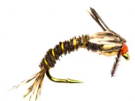 Tungsten Thorax Nymph #10