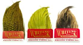Whiting Bugger Pack