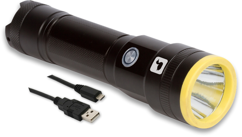 Loon UV Plasma Light