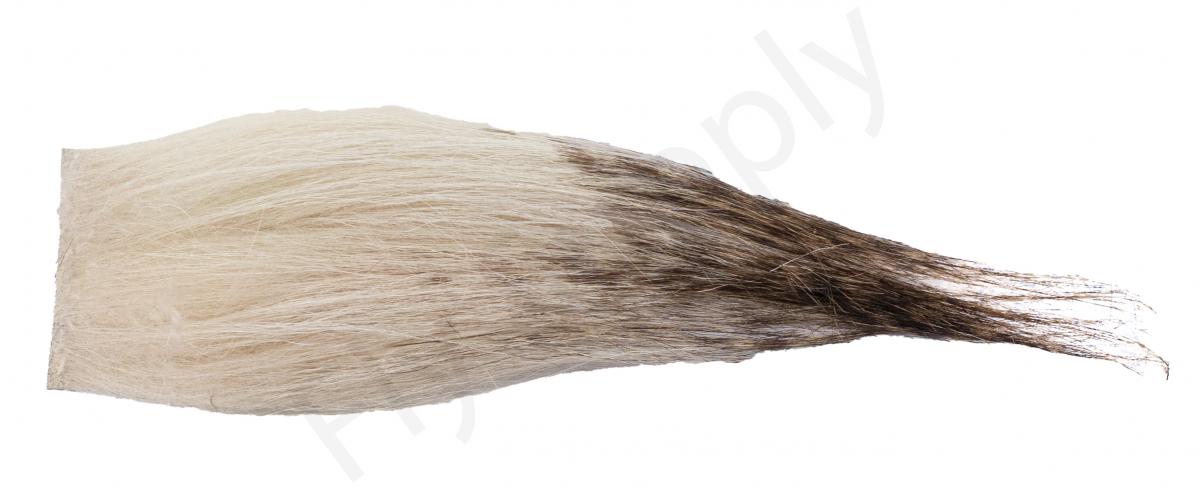 Brown Barred - Cream