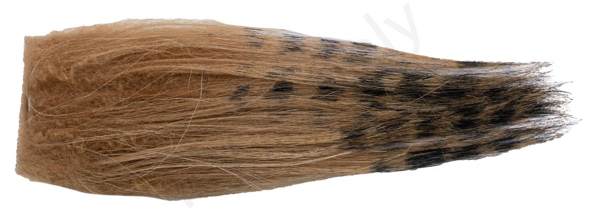 Black Barred - Dark Tan