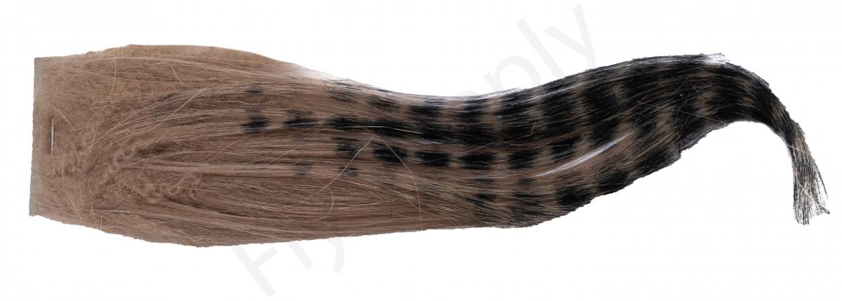 Black Barred - Sand