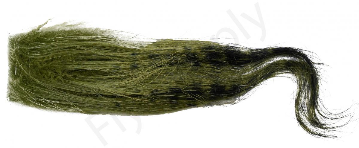 Black Barred - Olive
