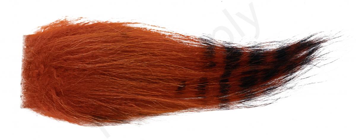 Black Barred - Orange