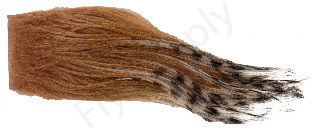 Black Barred - Rusty Brown