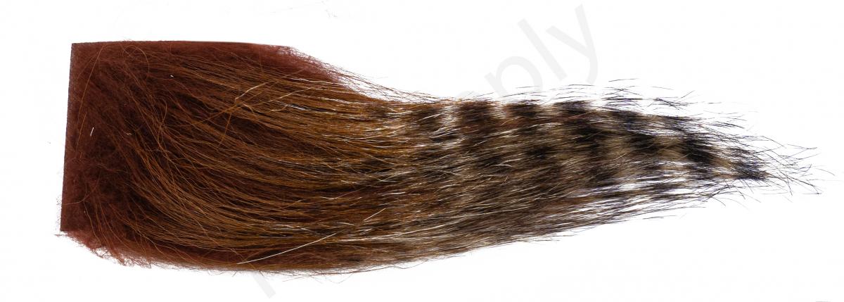 Black Barred - Dark Brown