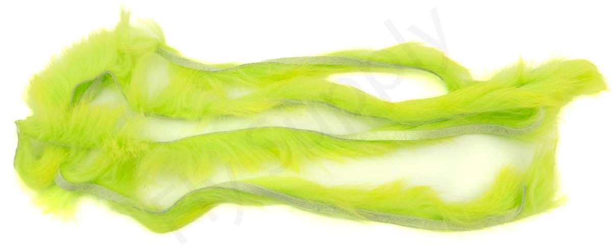 Chartreuse Green