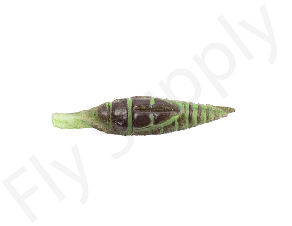 Insect Green - 15mm