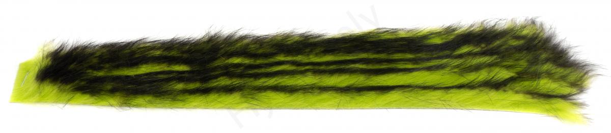 Chartreuse and Black